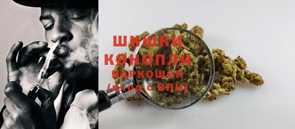 гидра Осинники