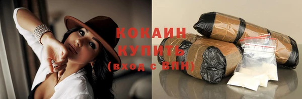 гидра Осинники