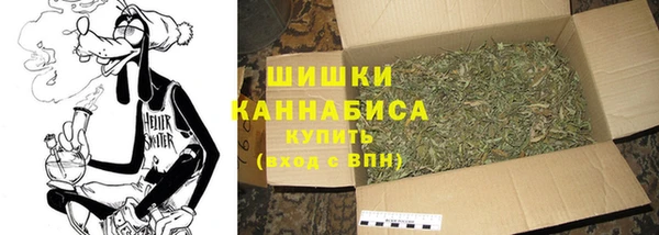 гидра Осинники