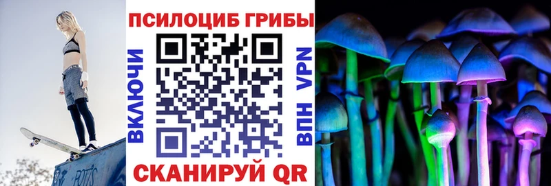 купить закладку  Северо-Курильск  Псилоцибиновые грибы Psilocybe 